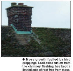 Moss growth fuelled by bird droppings. Lead oxide run-off from the chimney flashing has kept a limited area of roof free from moss