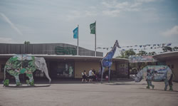 Firestone Provides New ‘Seal’ at Chester Zoo