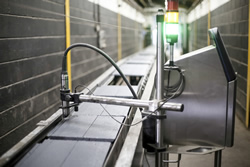 £50,000 Capital Investment For Russells