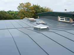 Sarnafil Plus Supports Clients Through Regulation Change