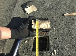 SIG Design & Technology Discuss Intrusive Flat Roof Surveys and Why You Need One